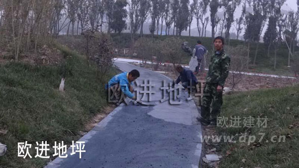 彩色壓模地坪-歐進地坪www.hnqzjx.cn