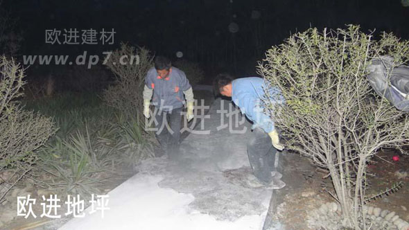 彩色壓模地坪-歐進地坪www.hnqzjx.cn