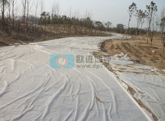 彩色生態(tài)透水混凝土地坪-歐進(jìn)建材www.hnqzjx.cn